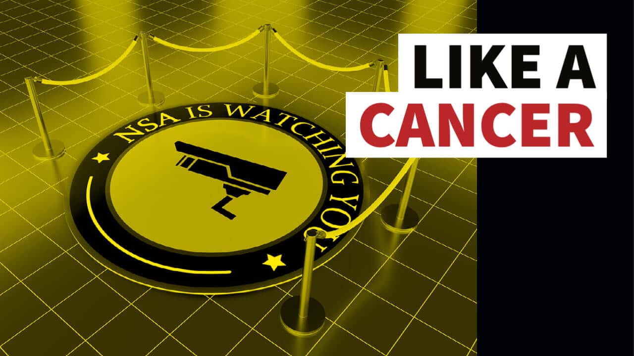 Like a Cancer: Warrantless Surveillance under Section 702