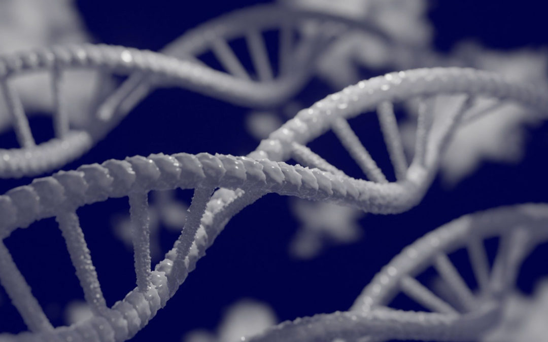 New York Bill Would Prohibit Use of DNA ‘Phenotyping’ in Criminal Cases