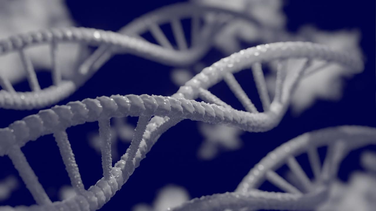 Maryland and Montana Pass Laws Limiting Warrantless Access to DNA Databases