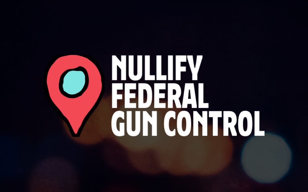 Nullify Federal Gun Control: Four States Get the Ball Rolling