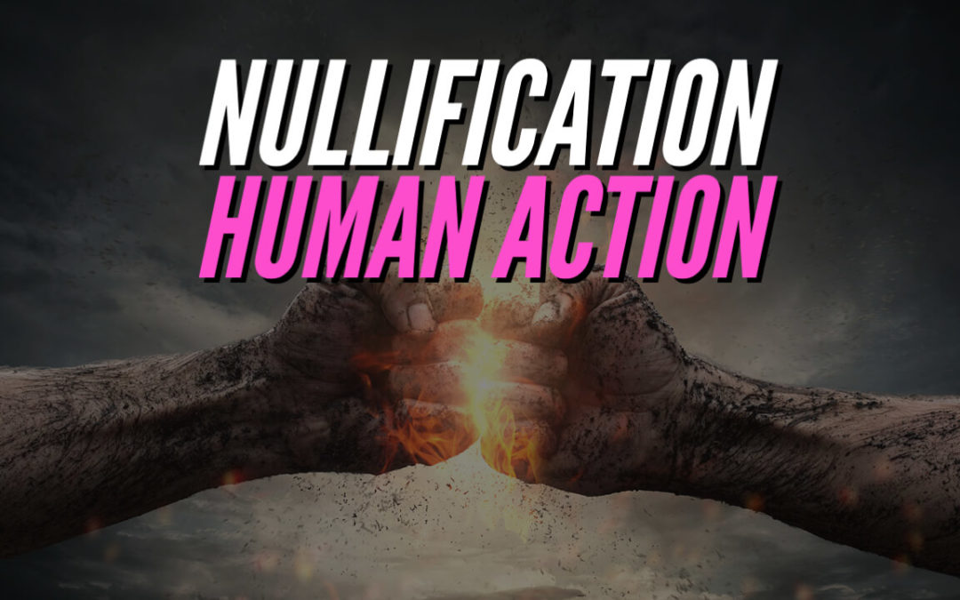 Human Action and Nullification