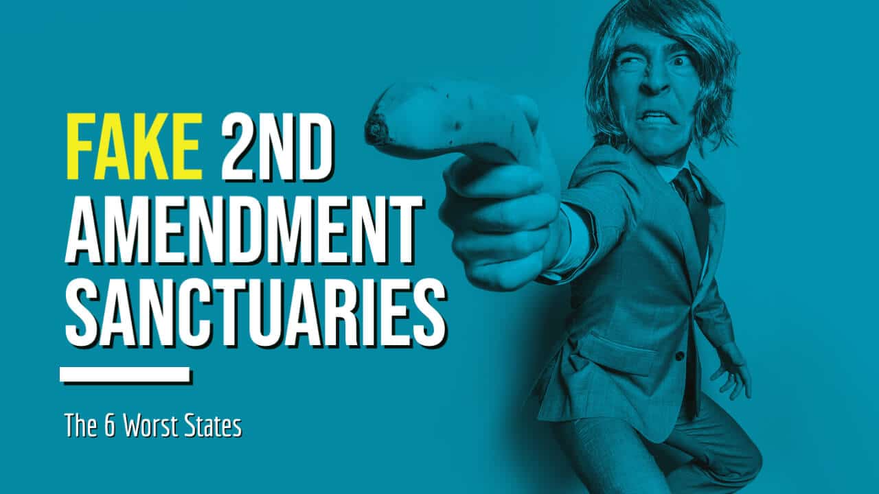 Six Fake 2nd Amendment "Sanctuary States"