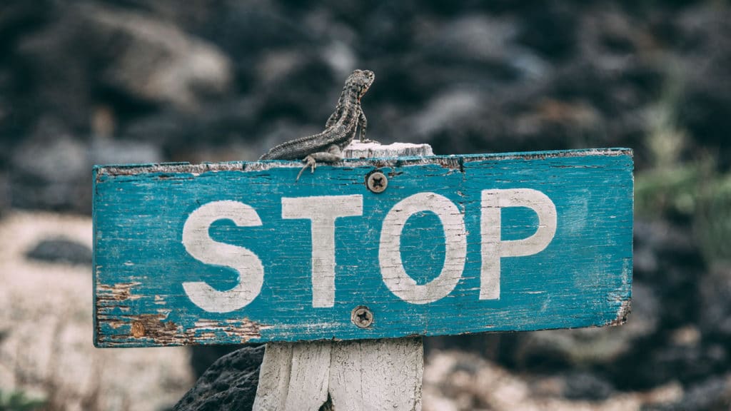 Just Because They Can Doesn't Mean They Should