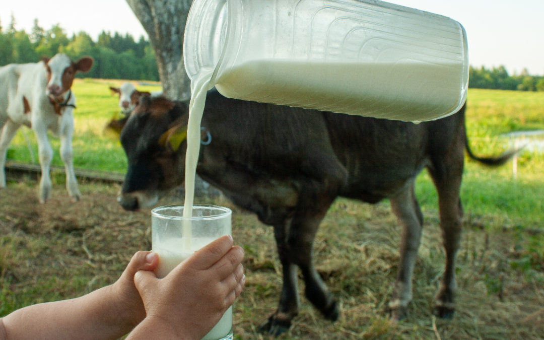 Iowa Bill Would Legalize Raw Milk Sales; Create Foundation to Nullify Federal Prohibition Scheme