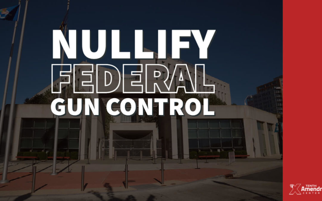 Status Report: Nullify Federal Gun Control
