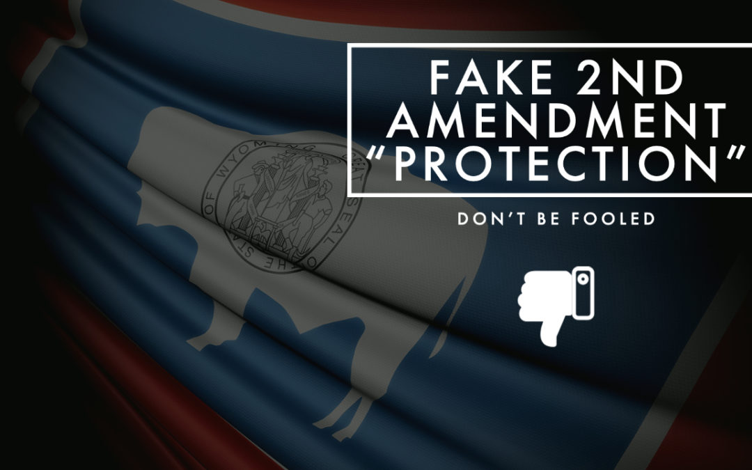 To the Governor: Wyoming Passes Fake 2nd Amendment “Protection” Act