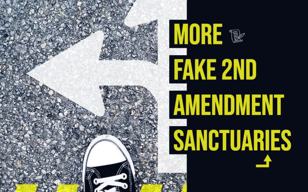 More Fake 2nd Amendment Sanctuaries