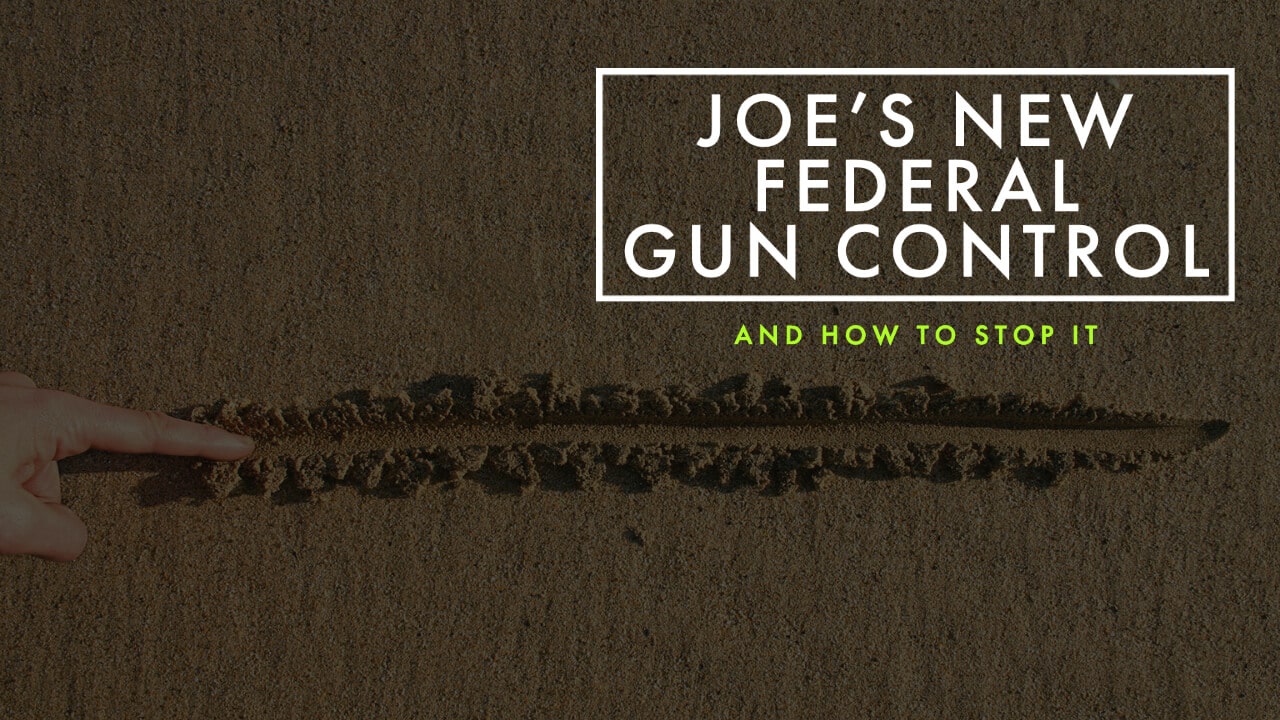 Joe's New Federal Gun Control - and How to Stop it