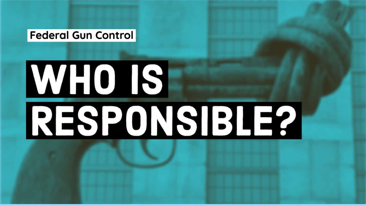 Who is to Blame for the Latest Federal Gun Control?