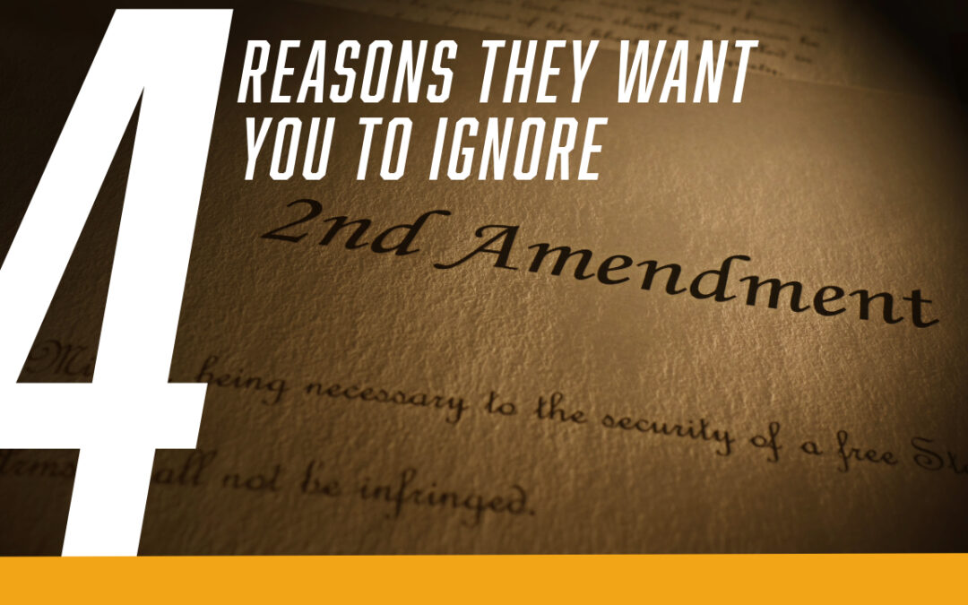 4 Main Reasons for the 2nd Amendment