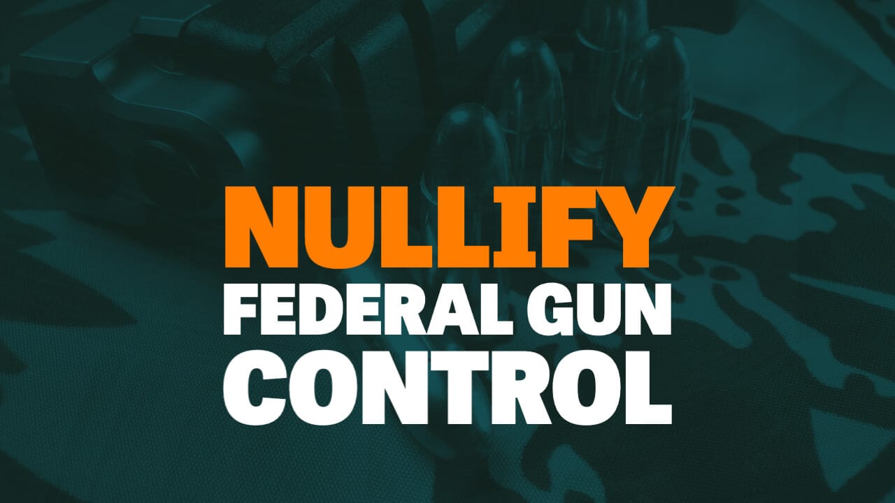 Nullify Federal Gun Control