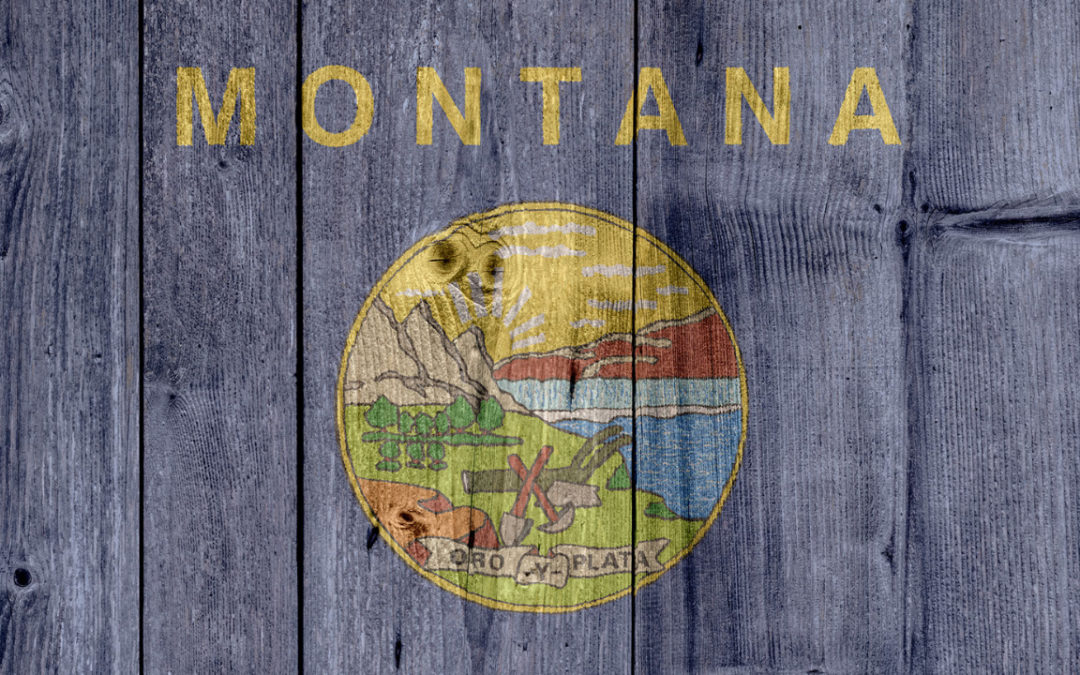 Montana Senate Committee Passes Bill to Create a Constitution Settlement Commission of States to Review Federal Powers