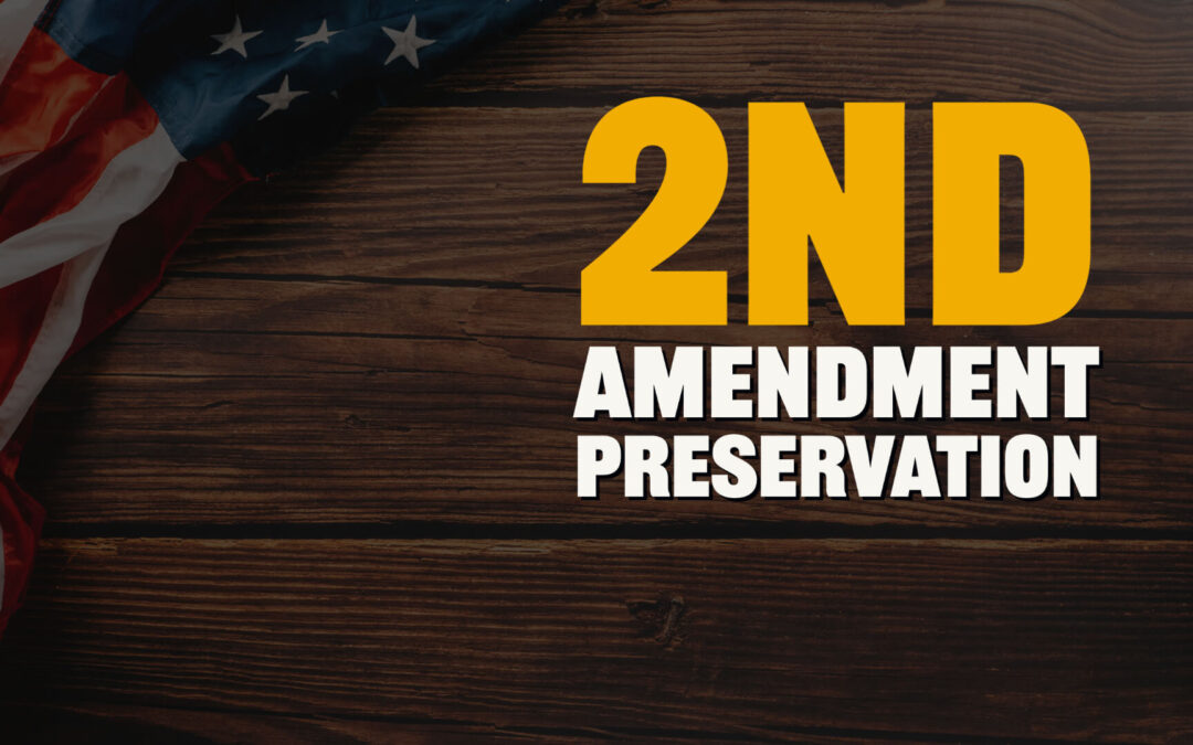 2nd Amendment Preservation: 4 Approaches