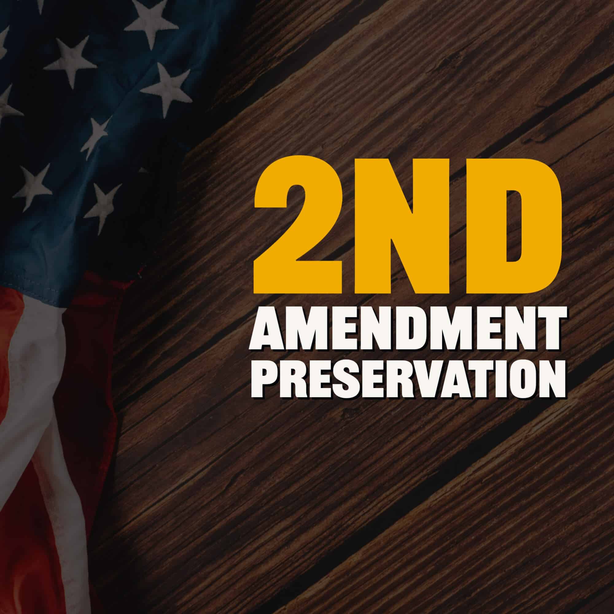 2nd Amendment Preservation: 4 Approaches