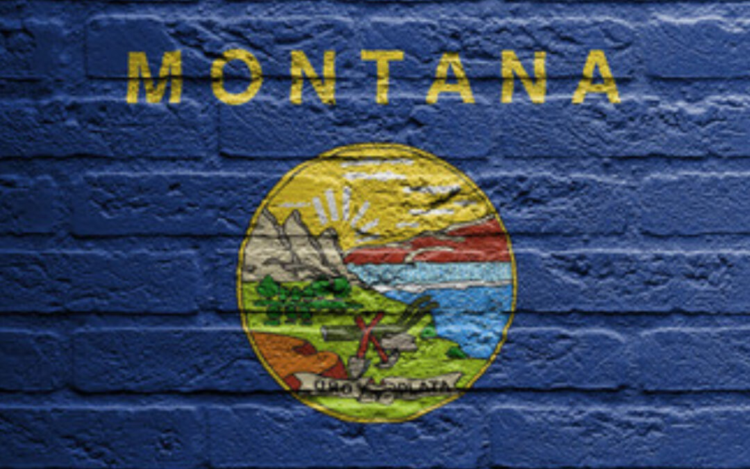 To the Governor: Montana Passes Bill to Prohibit Credit Card Tracking Codes on Firearms Purchases