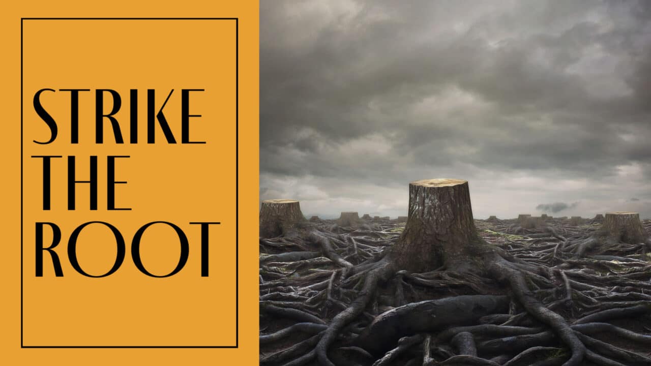 Strike the Root