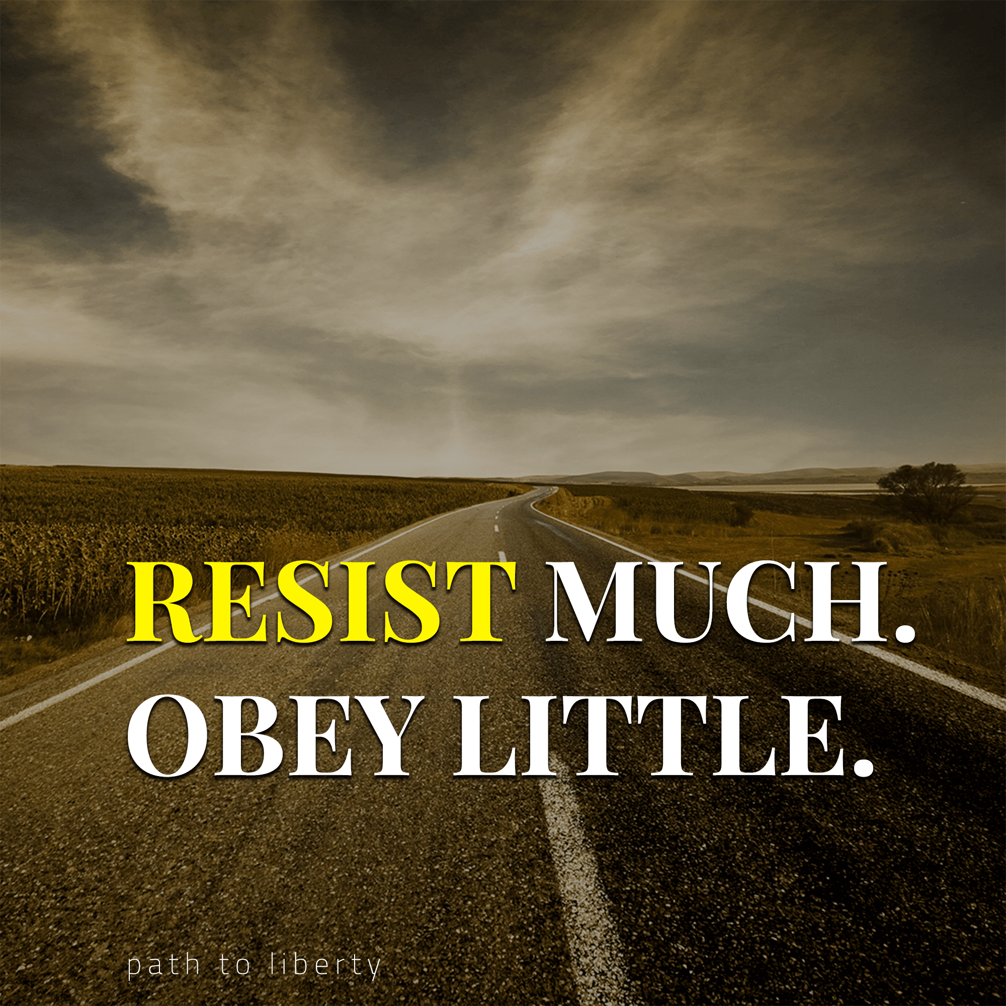 Resist Much. Obey Little.