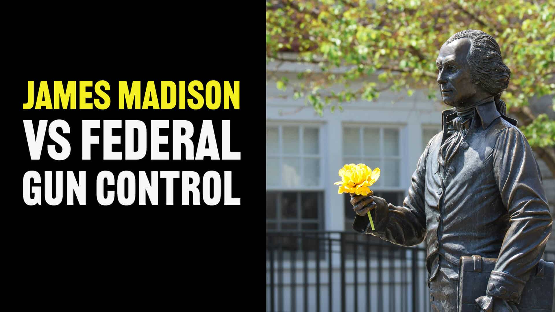 James Madison vs Federal Gun Control