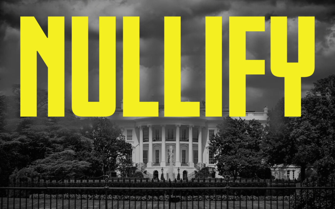 Ramping Up: Nullification Movement News