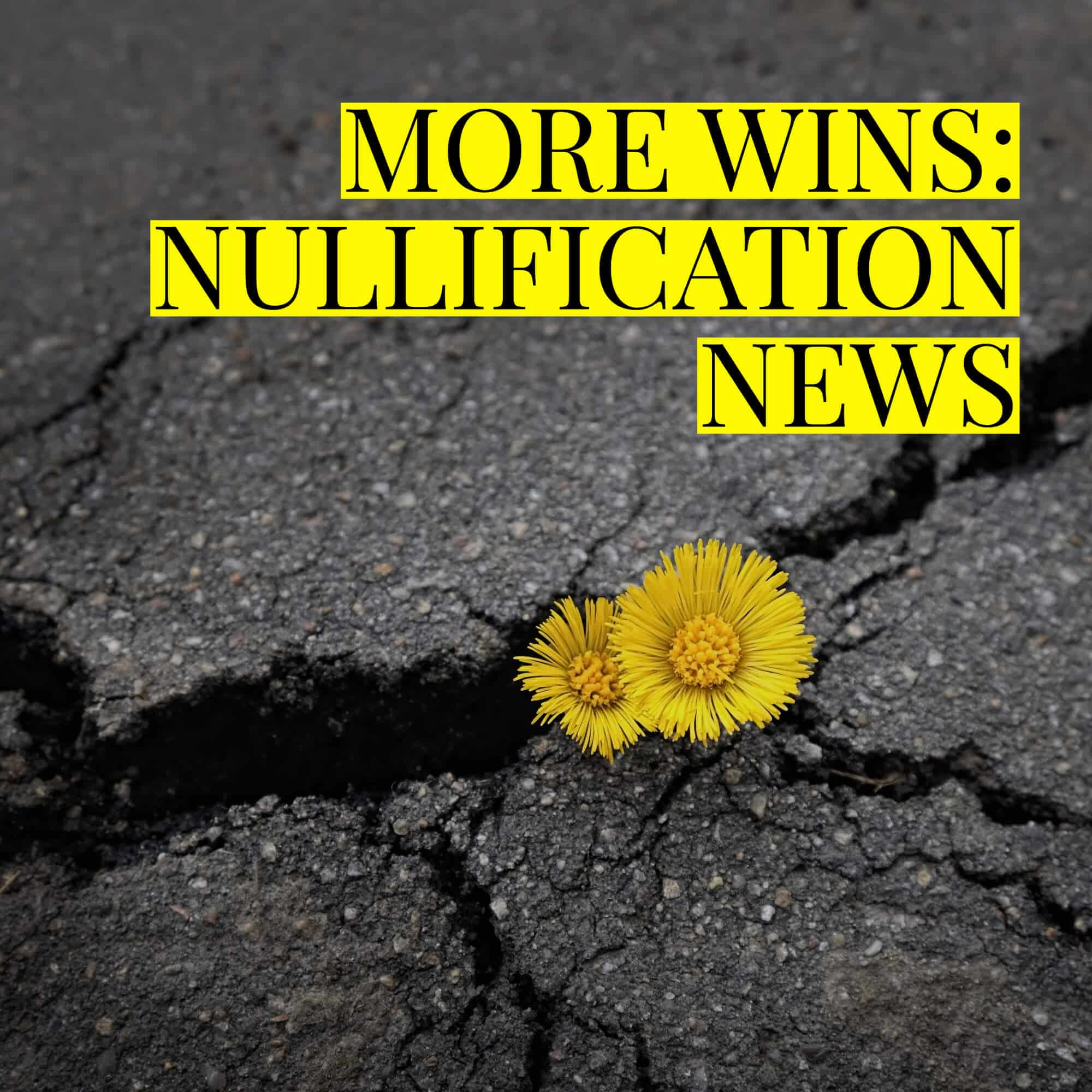 More Wins: Nullification Movement News