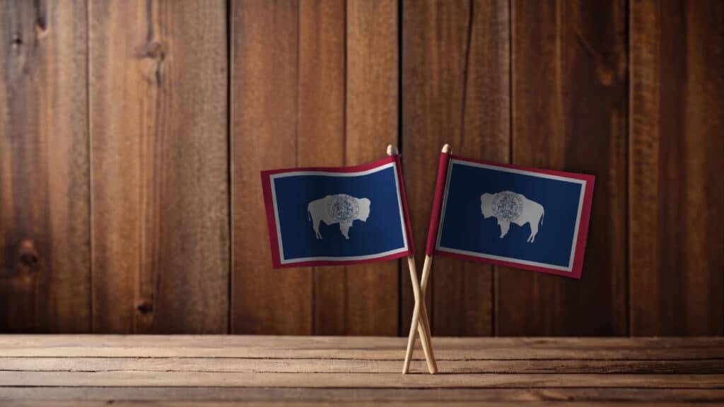 To the Governor: Wyoming Bill Would Prohibit State Enforcement of Federal Red Flag Laws