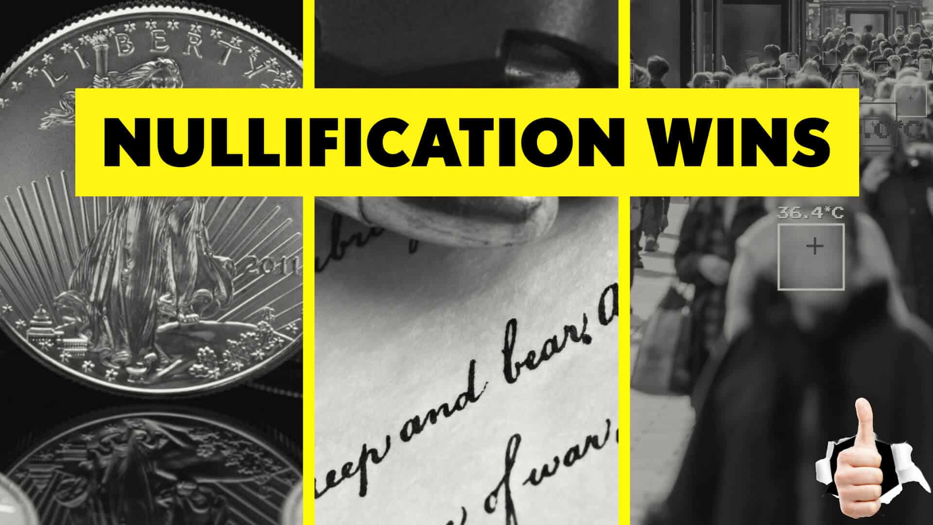 Nullification News: Key Wins on Sound Money, Firearms and Privacy