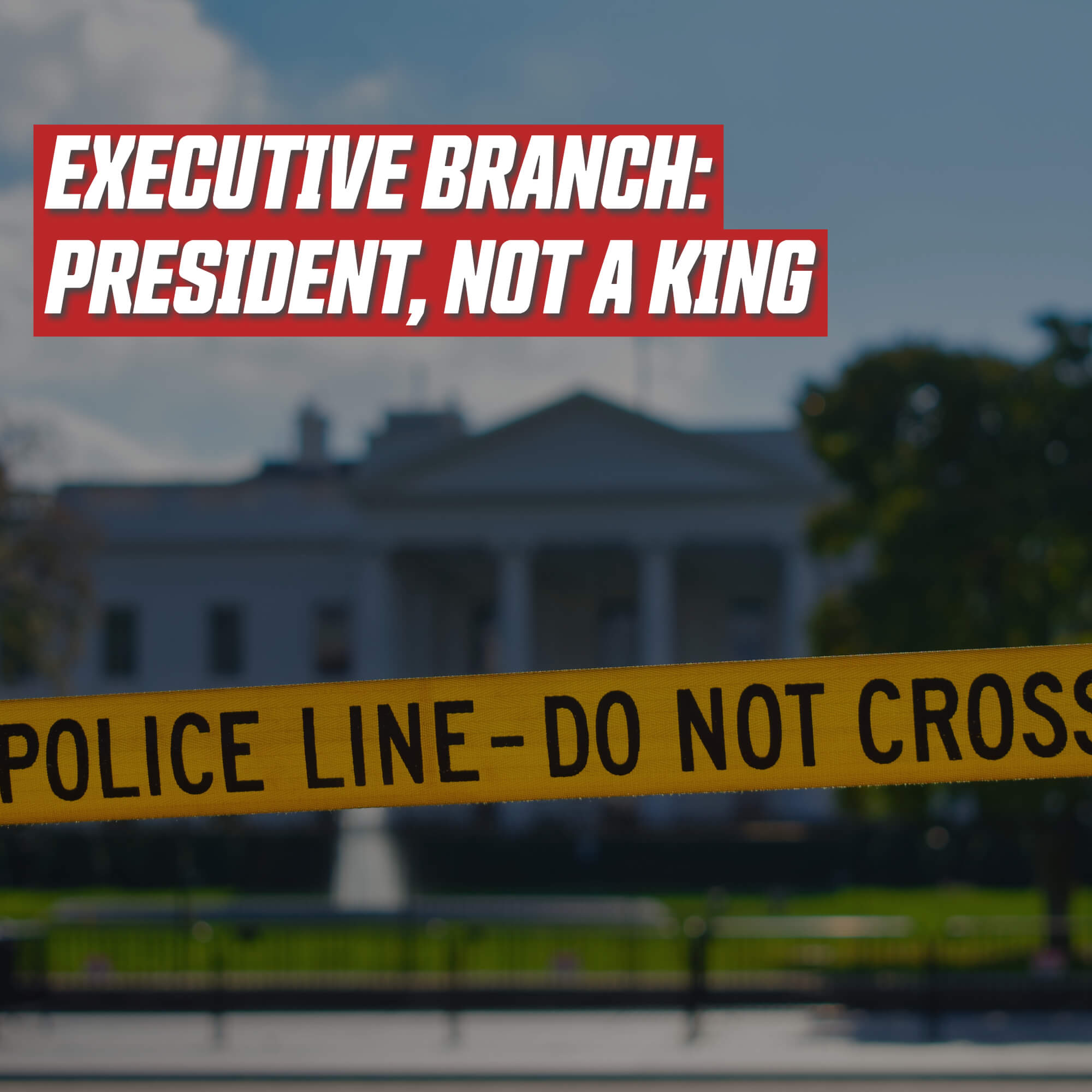 Executive Branch: President, not a King (Federalist Arguments)