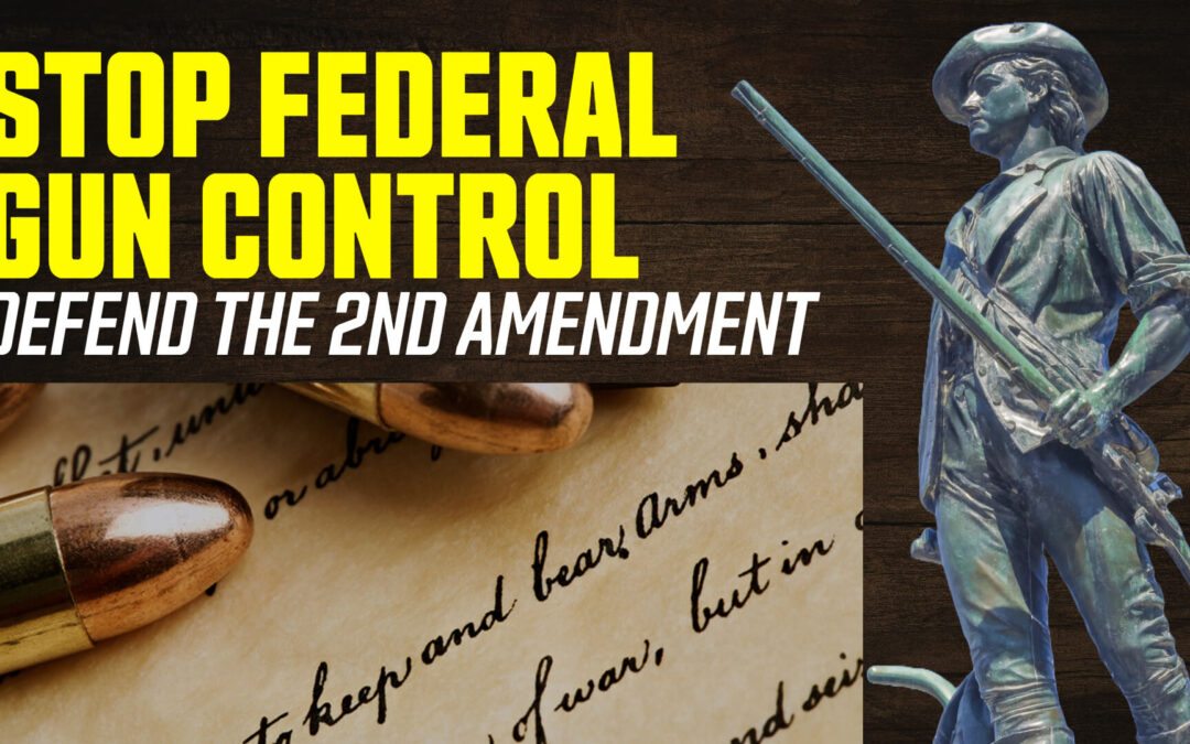 2nd Amendment: Founders’ Blueprint to Defeat Gun Control