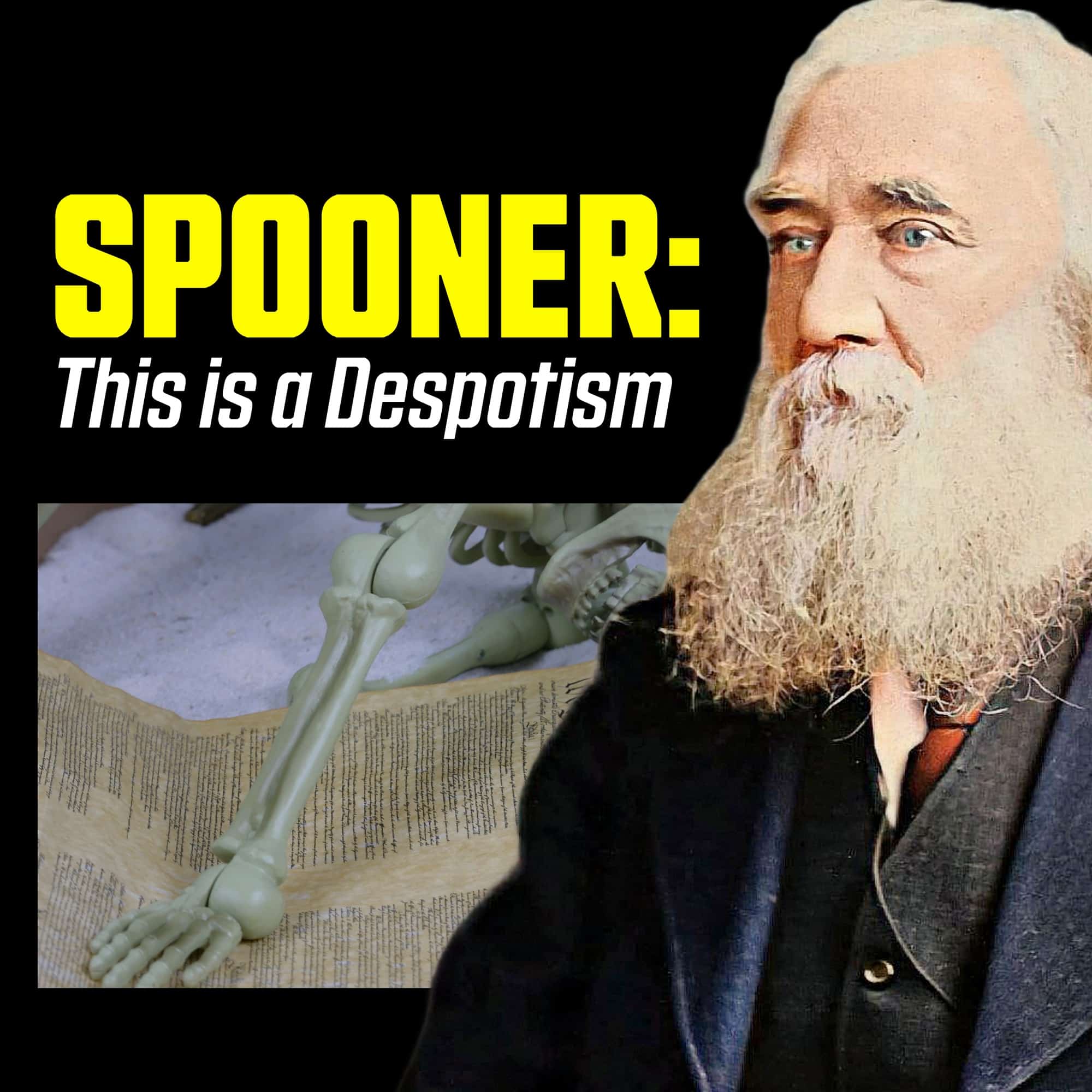 Lysander Spooner: The Truth About “Checks and Balances”